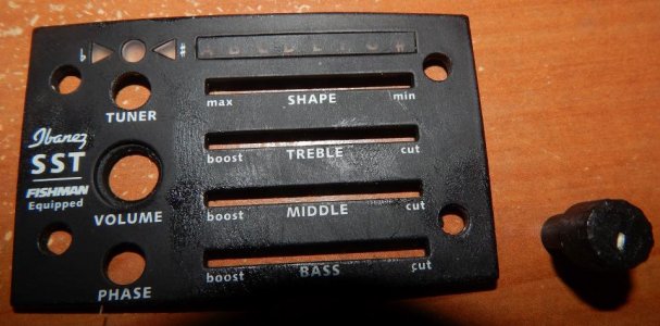 Fried Iby plate 2.jpg Fried Iby plate 2.jpg