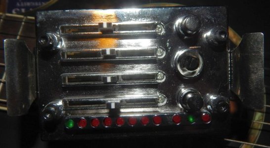 Fried Iby plate 3.jpg Fried Iby plate 3.jpg