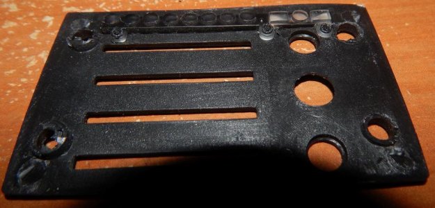 Fried Iby plate.jpg Fried Iby plate.jpg