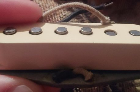 0126201626~2.jpg