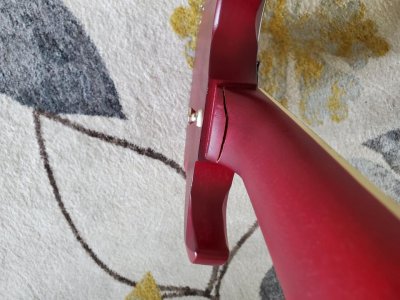 epi neck1.jpg epi neck1.jpg