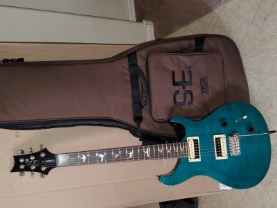 PRS SE Custom 22.jpg