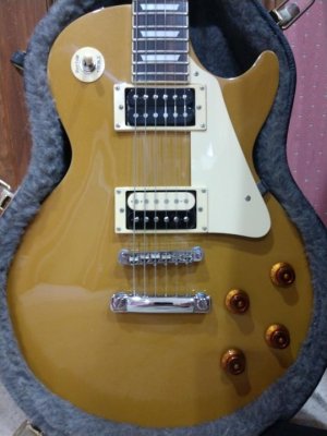 epi_goldtop.jpg