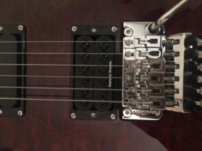 4BF60757-6B6A-4552-ABD1-C45189F9F001.jpg 4BF60757-6B6A-4552-ABD1-C45189F9F001.jpg