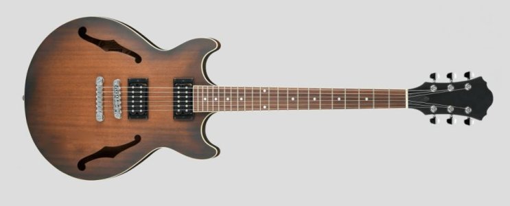 Ibby_copy.jpg Ibby_copy.jpg