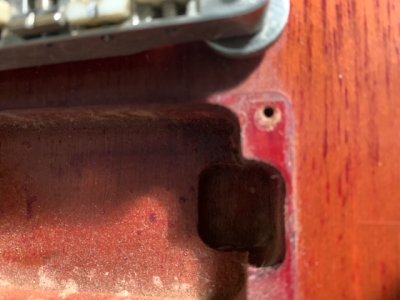 7CD2A42A-D1F3-4789-A13E-2DAAA4D14C64.jpeg 7CD2A42A-D1F3-4789-A13E-2DAAA4D14C64.jpeg