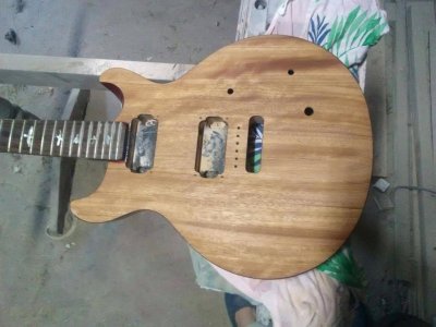 johan prs se 1 make over 286208_n.jpg