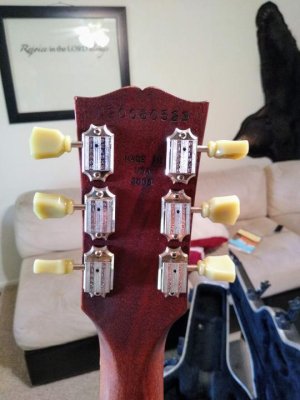 IMG_20200711_133656731~2_compress77.jpg IMG_20200711_133656731~2_compress77.jpg