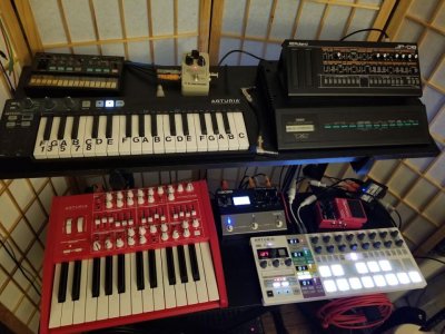 MiniBrute Apr 2020.jpg MiniBrute Apr 2020.jpg