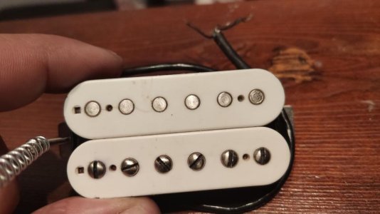 95781889_532440807443059_4895908601681412096_n.jpg 95781889_532440807443059_4895908601681412096_n.jpg