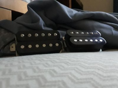 Pure PAF.jpg - Click image for larger version  Name:	Pure PAF.jpg Views:	0 Size:	54.2 KB ID:	6008860