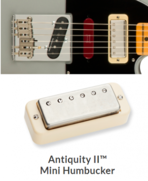 Neck_pup.png Neck_pup.png