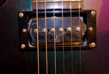 DSCF7567.JPG