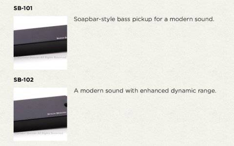 Duncan_Designed_bass.jpg
