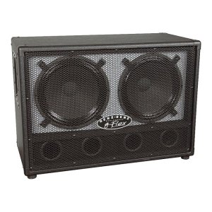 Genz Benz 2x12 ported.jpeg