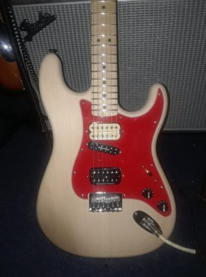 new pickguard.jpg new pickguard.jpg