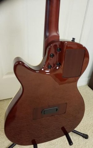 godin3.jpg