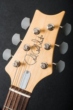 PRS-cover-14.jpg - Click image for larger version  Name:	PRS-cover-14.jpg Views:	0 Size:	45.3 KB ID:	6050399