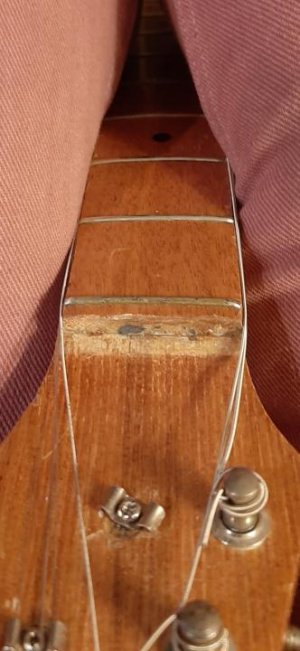 Screenshot_20210205-191211_Gallery.jpg Screenshot_20210205-191211_Gallery.jpg