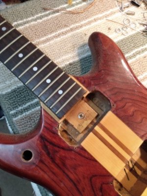 Click image for larger version  Name:	Vantage_VP-795_neck_sm.jpg Views:	0 Size:	59.9 KB ID:	6060124