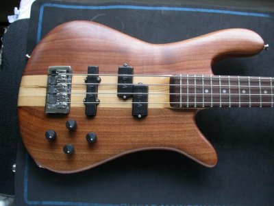 SpectorBodyFront.jpg