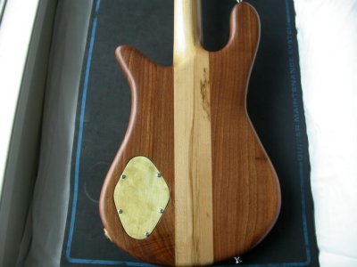SpectorBodyBack.jpg