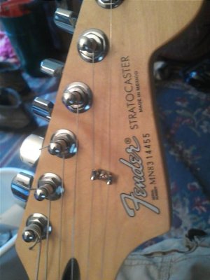 IMG347.jpg IMG347.jpg