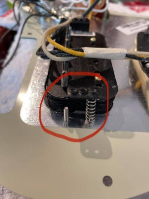 160757815_10159194541871558_8945931030329973743_o.jpg