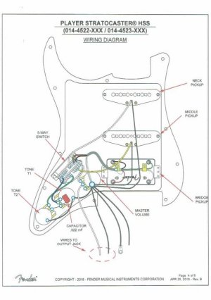 Player HSS Wiring.jpg