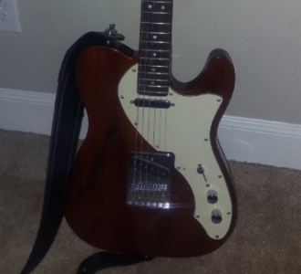 TCWs Thinline Body.png