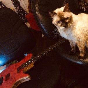 karmaguitar.jpg