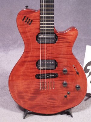 Godin_weired_pickups.jpg Godin_weired_pickups.jpg