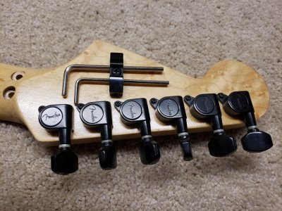Warmoth 2.jpg