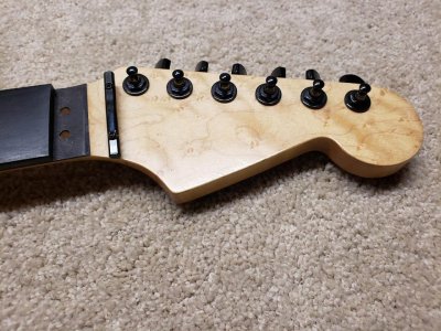 Warmoth 3.jpg
