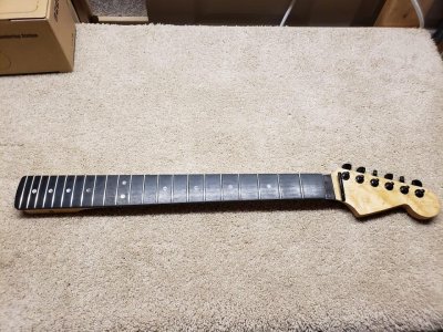 Warmoth 1.jpg
