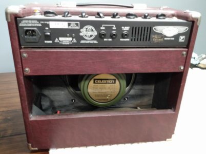 Traynor-02.jpg