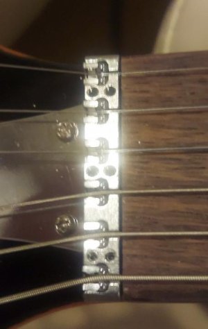 20220808_053931.jpg 20220808_053931.jpg