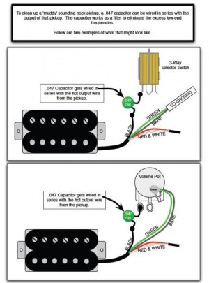 muddy neck pickup.jpg