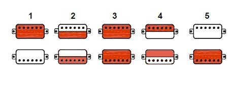 Cort_pups_standard.jpg Cort_pups_standard.jpg