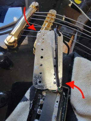 5S6Elrg.jpg 5S6Elrg.jpg