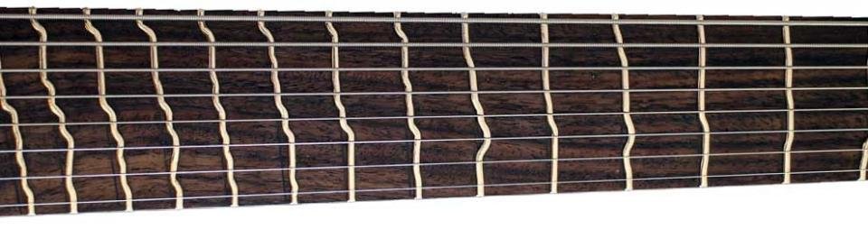 true-temperament-fanned-frets-strandberg.jpg