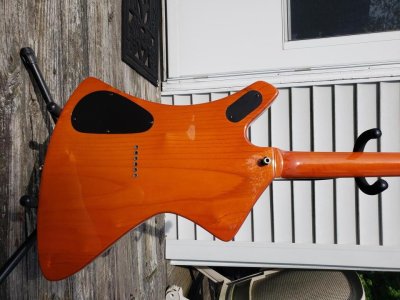 washburn 4.jpg