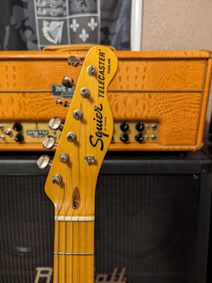 Thinline Head.jpg Thinline Head.jpg