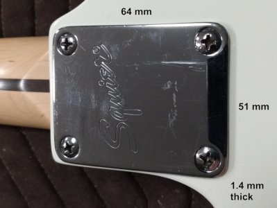 Squier_plate.jpg