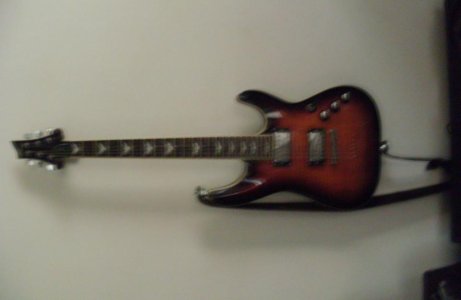 Schecter 001.jpg