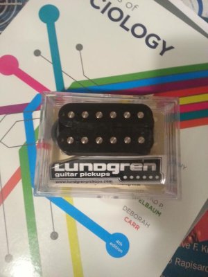 lundgren_m6.jpg