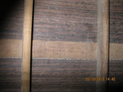 IMG_1248.jpg