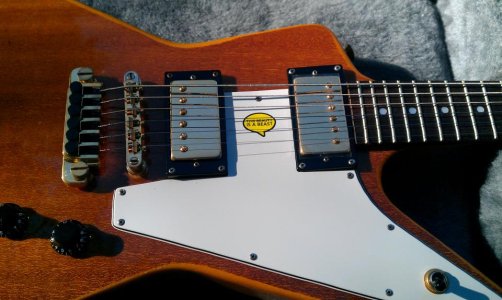 IMAG0590.jpg