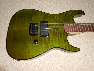 Godin2.JPG