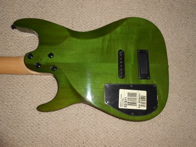 Godin3.JPG